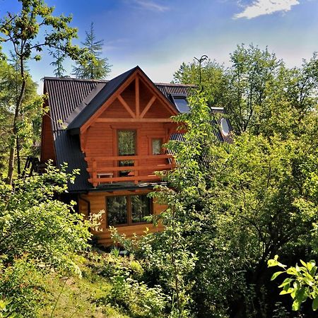Domki Mroz Zakopane Exterior photo