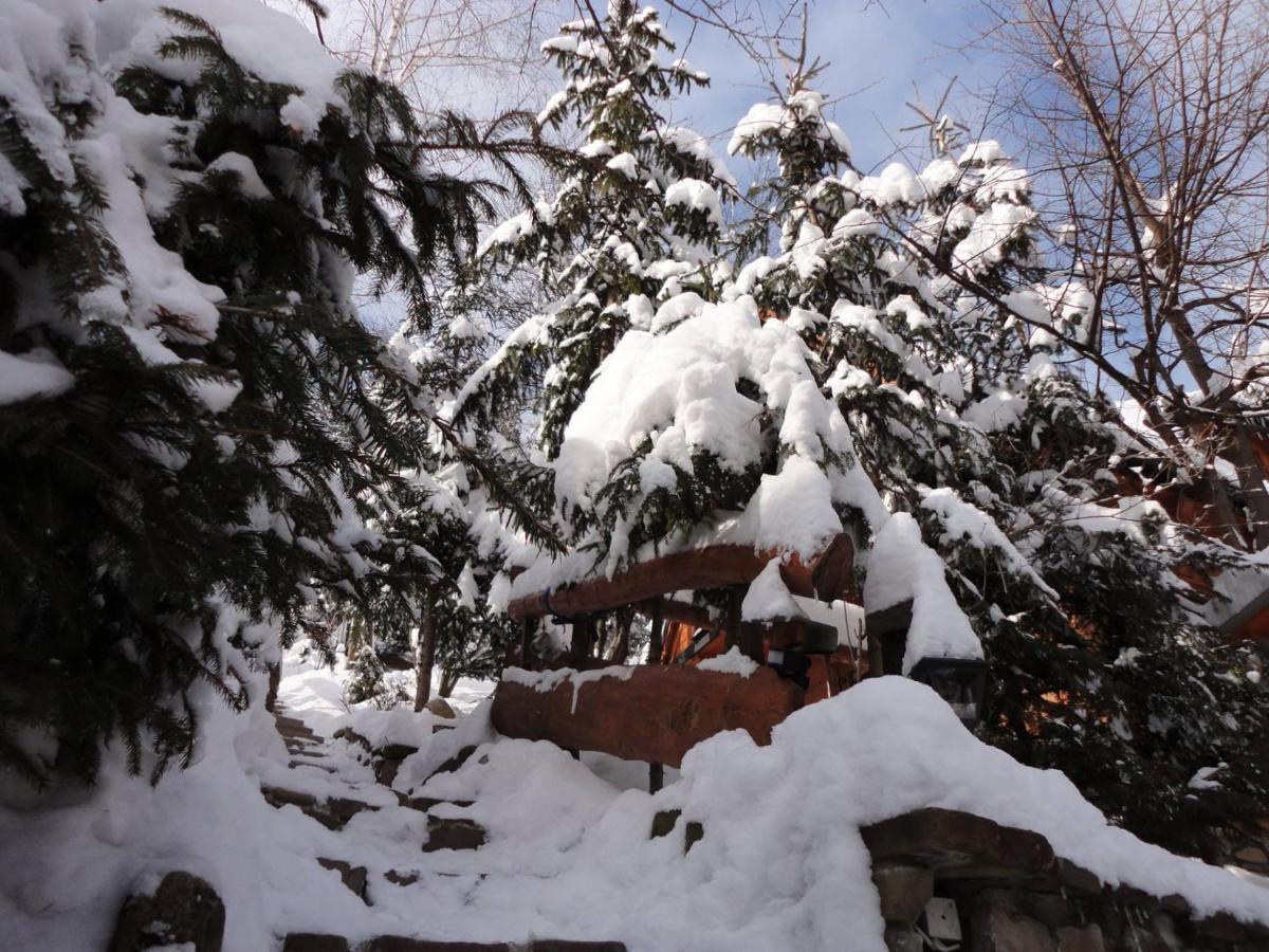 Domki Mroz Zakopane Exterior photo