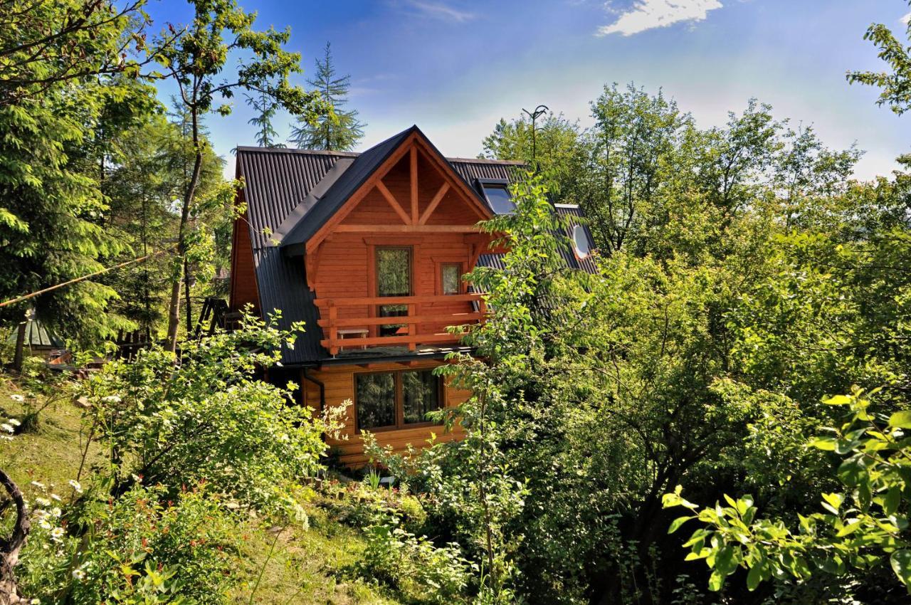 Domki Mroz Zakopane Exterior photo