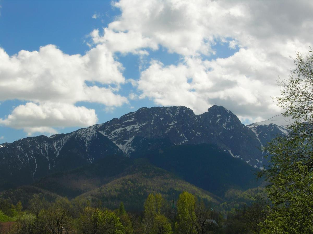 Domki Mroz Zakopane Exterior photo