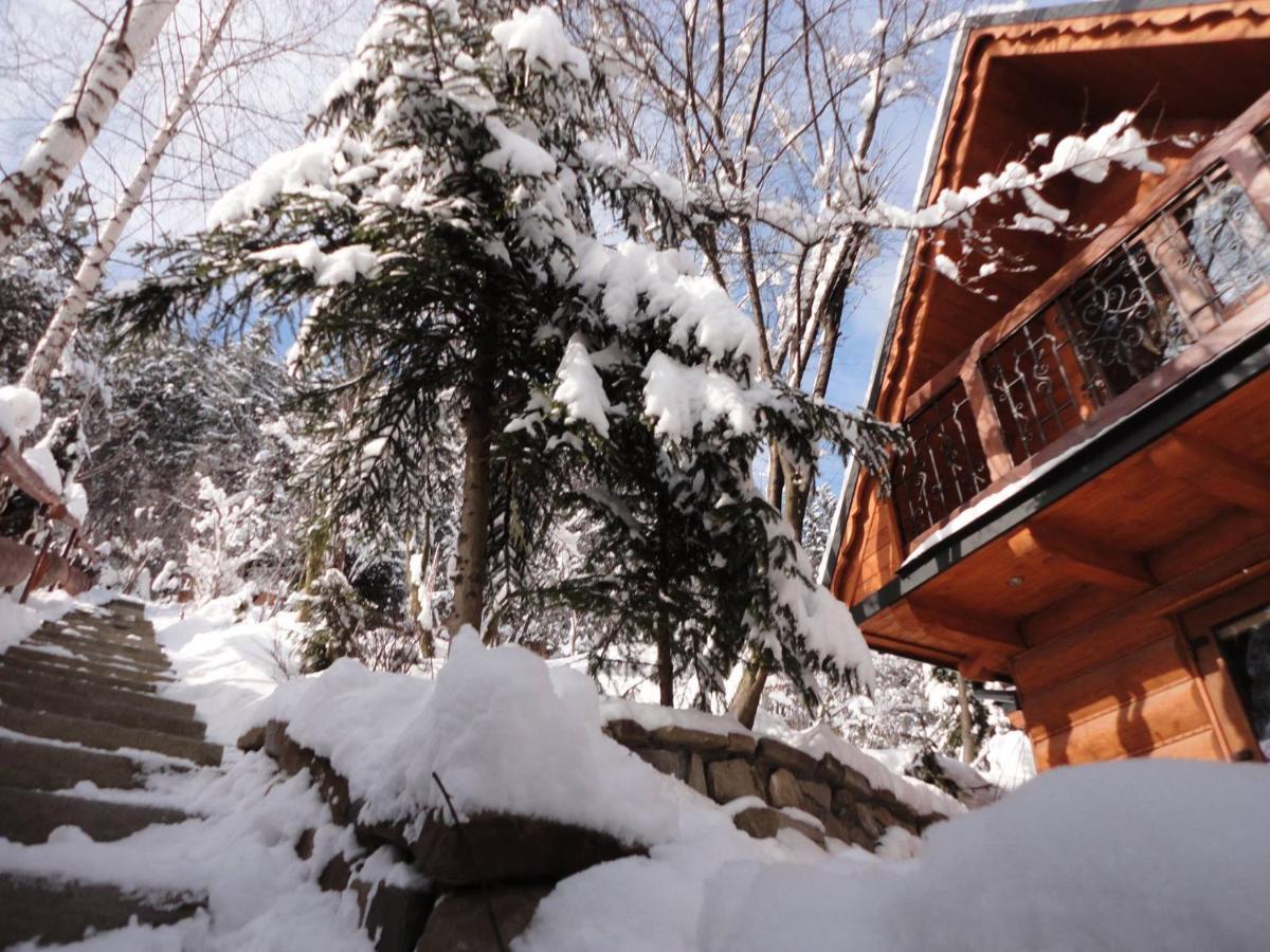 Domki Mroz Zakopane Exterior photo