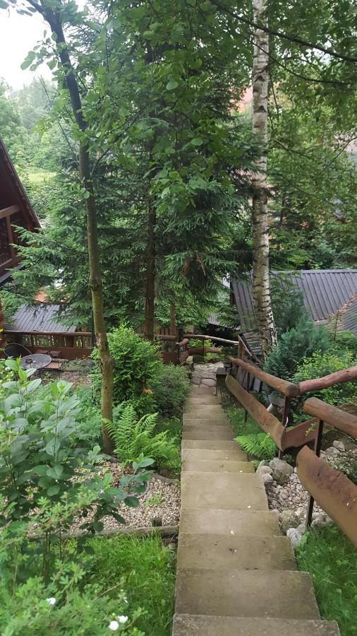 Domki Mroz Zakopane Exterior photo