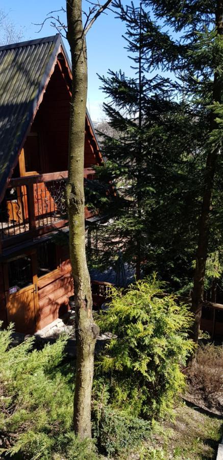 Domki Mroz Zakopane Exterior photo