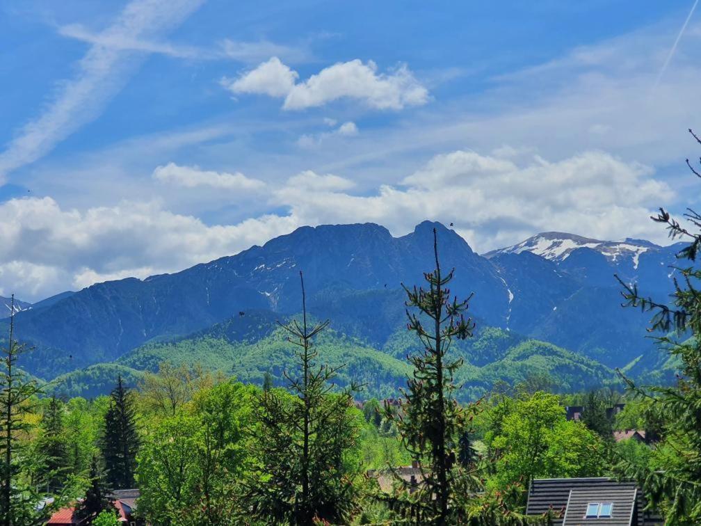 Domki Mroz Zakopane Exterior photo